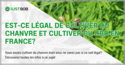 Est-ce légal de cultiver du chanvre et cultiver du CBD en France?