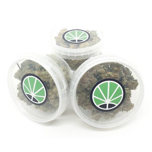 marijuana-cbd-france-noel