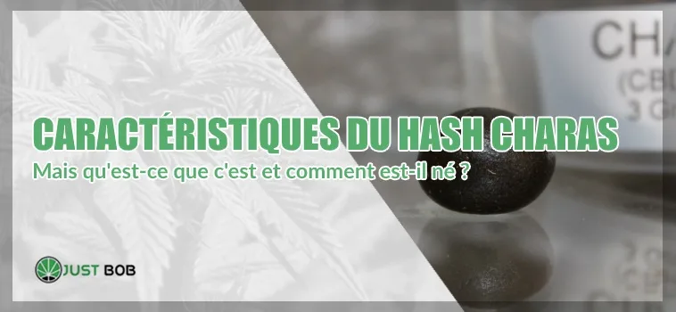 CARACTÉRISTIQUES-ET-ORIGINE-DU-HASH-CHARAS Caractéristiques du hash charas: comment est-il né?