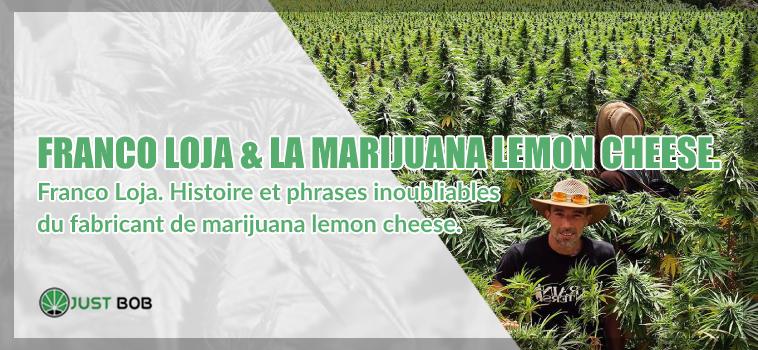 Franco Loja marijuana lemon cheese Histoire