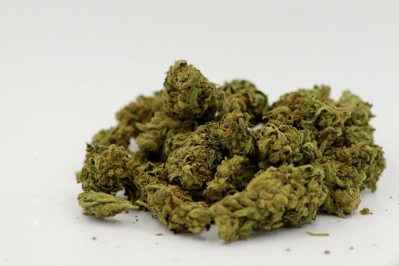 Gorilla Glue kit de cannabis légal
