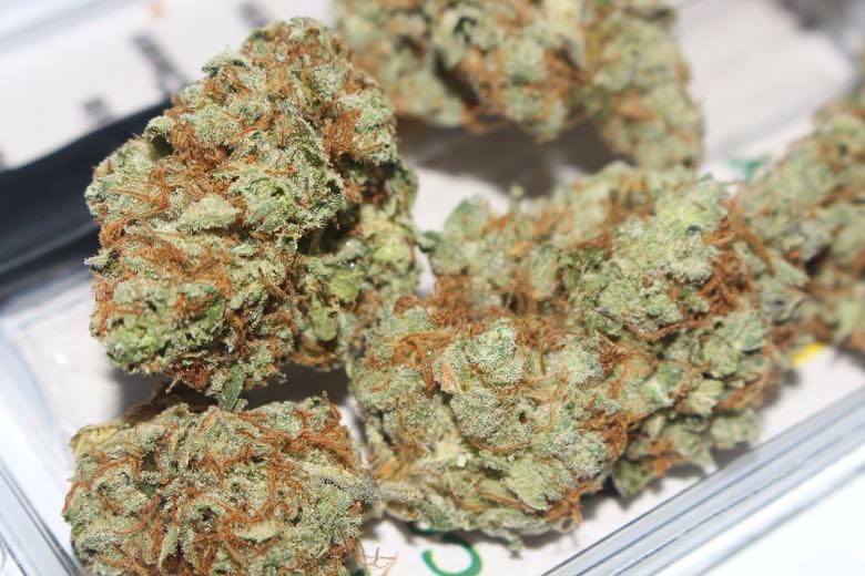 Kit de Cannabis Légal justbob