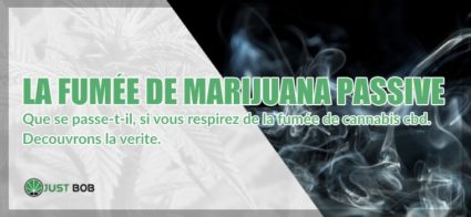 passive fumée de cannabis cbd