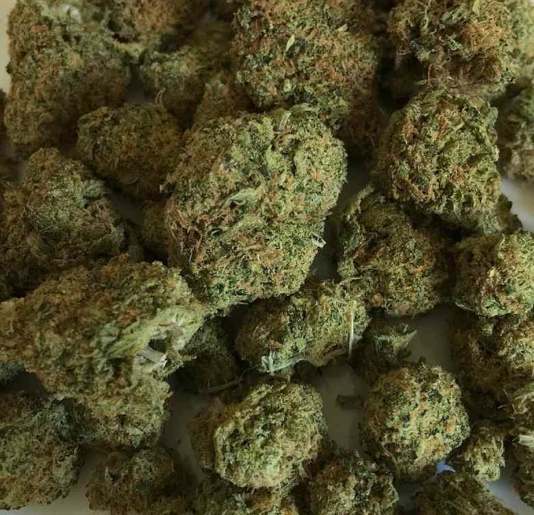 Marijuana kush cannabis légal