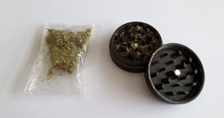 inflorescences cannabis grinder