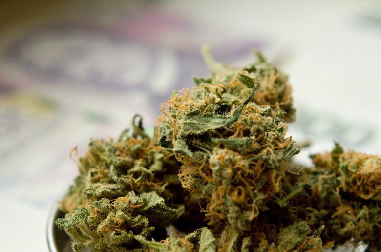 kit de les meilleures qualités de cannabis légal