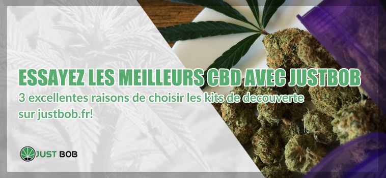 cbd et qualitè de cannabis