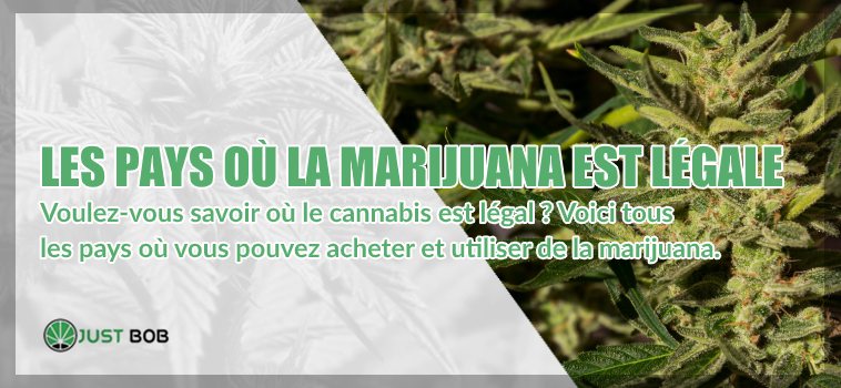 les pays où la marijuana cbd est légale