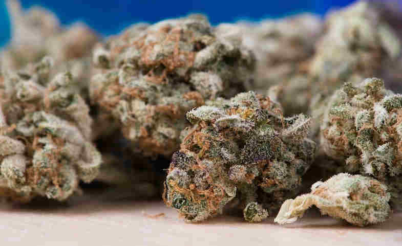 marijuana et de cannabis CBD