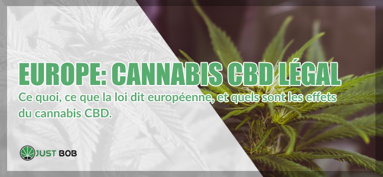Europe: le Cannabis CBD légal