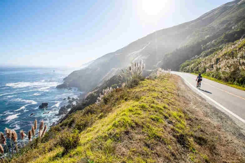Vue aérienne de paysages cannabicoles californiens illustrant le terroir Emerald Triangle référence historique de la cali weed et de la génétique CBD