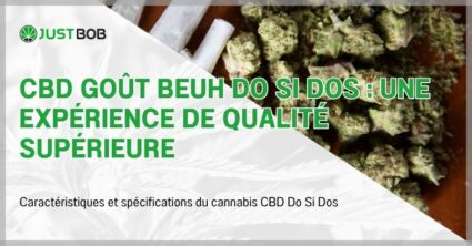 CBD Goût Beuh Do Si Dos : une expérience de qualité supérieure