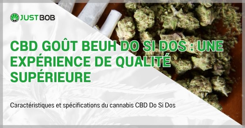 CBD Goût Beuh Do Si Dos : une expérience de qualité supérieure
