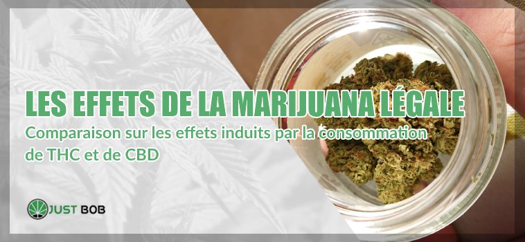 effets de la marijuana légale