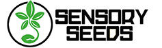 Sensory Seeds - Magasin virtuel