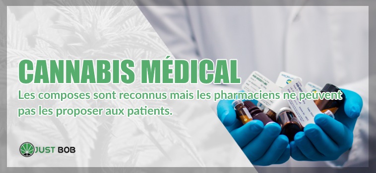 Cannabis médical et marijuana cbd