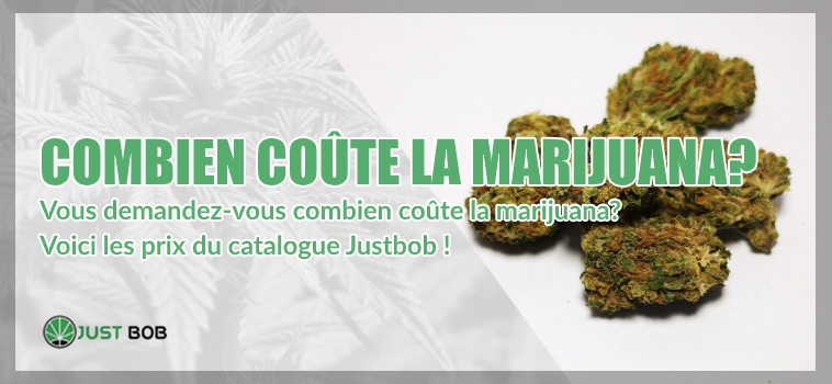 Combien coûte la marijuana cbd