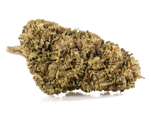 Fleurs CBD Outdoor Mix