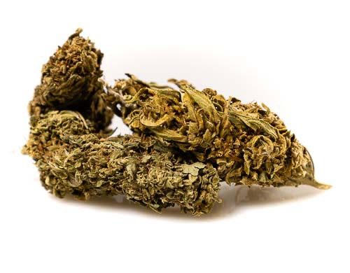 Outdoor Mix Fleur de Cannabis