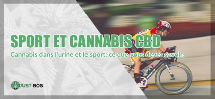 Sport et Cannabis CBD dans urine