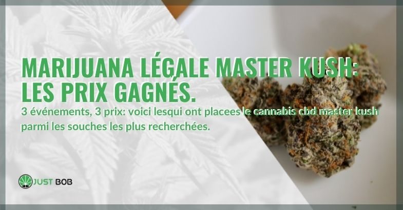 Les prix remportés par la marijuana légale Master Kush