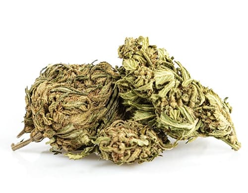 Outdoor Mix Fleur de Cannabis