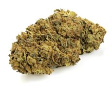 Outdoor Mix Fleur de Cannabis