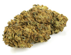 outdoor buds mix fleur de CBD