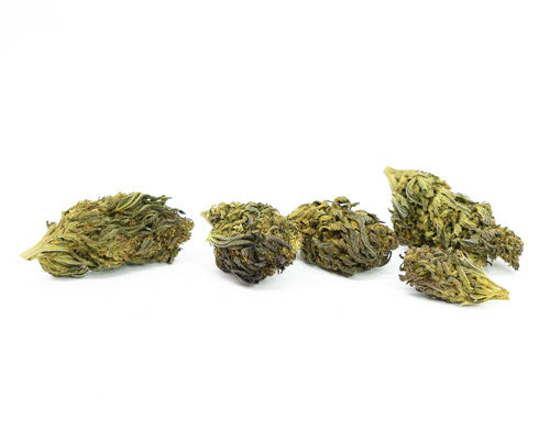 Purple Haze Fleur de Cannabis CBD