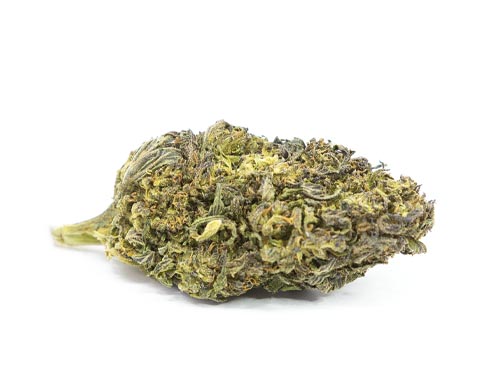 Purple Haze Fleur de CBD