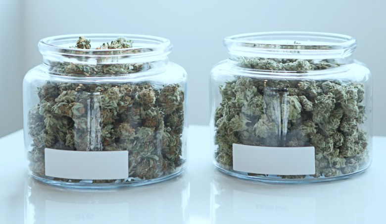 stockage idéal du cannabis légal 