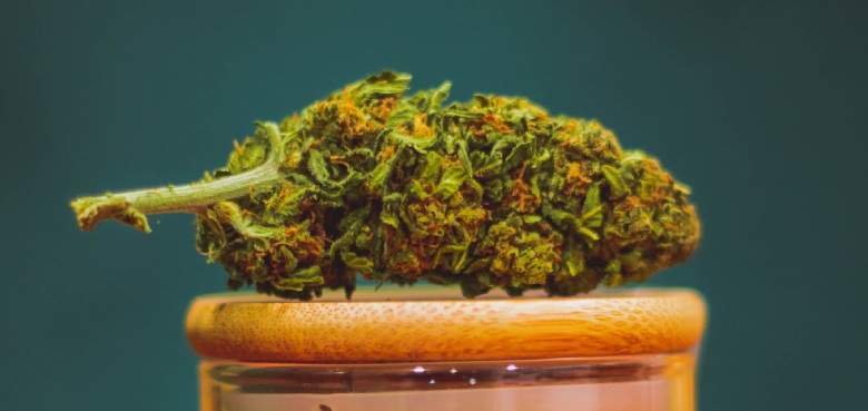 variétés de marijuana légales 2020