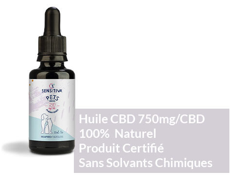 Huile Cannabis 2.5