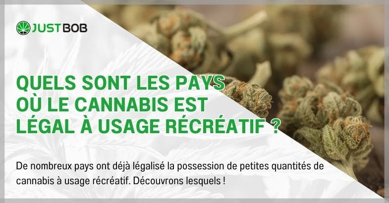 Quels sont les pays où le cannabis est légal à usage récréatif ?