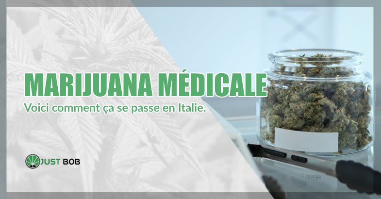 Marijuana médicale et cannabis cbd