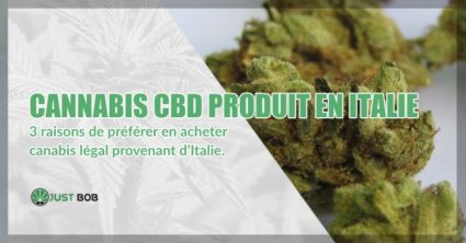 cannabis CBD produit en italie