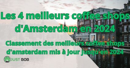 Les 4 meilleurs coffee shops d'Amsterdam en 2024