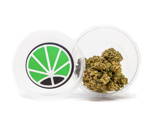 emballage-justbob-purple-gg-4 Justbob Purple gg 4
