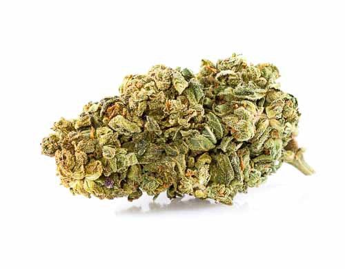 Purple GG#4 CBD Fleur inférieur 25%
