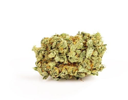 Cannabis Legal Purple GG