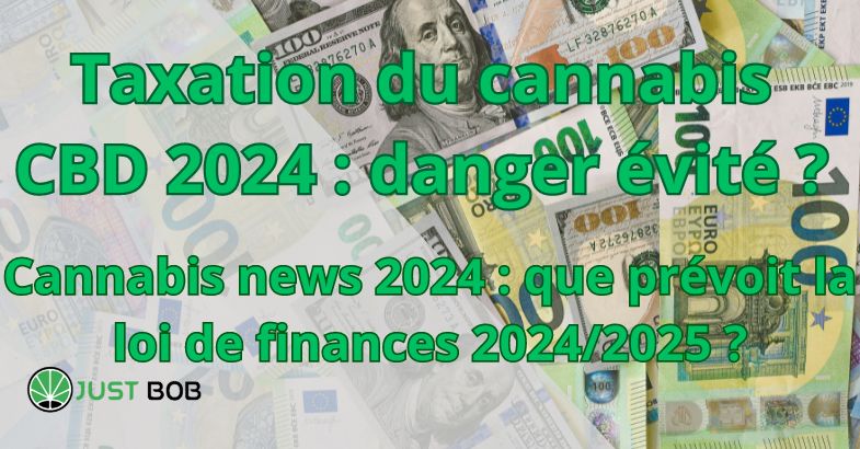 Taxation du cannabis CBD 2024 : danger évité ?
