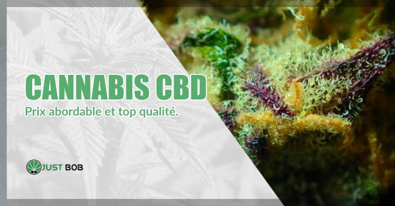 Cannabis CBD prix abordable