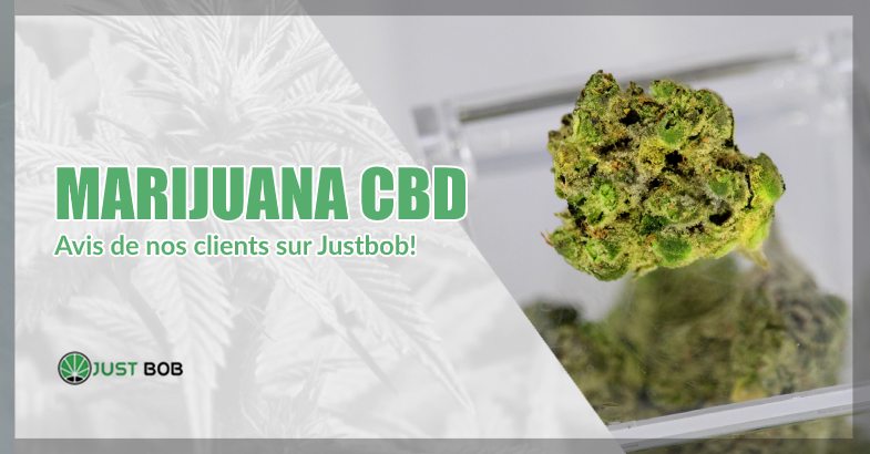 Marijuana CBD avis sur just bob