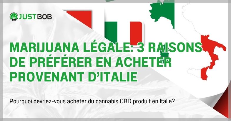 Marijuana légale: 3 raisons de préférer en acheter provenant d’Italie