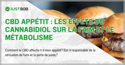 CBD appétit : les effets du cannabidiol sur la faim et le métabolisme