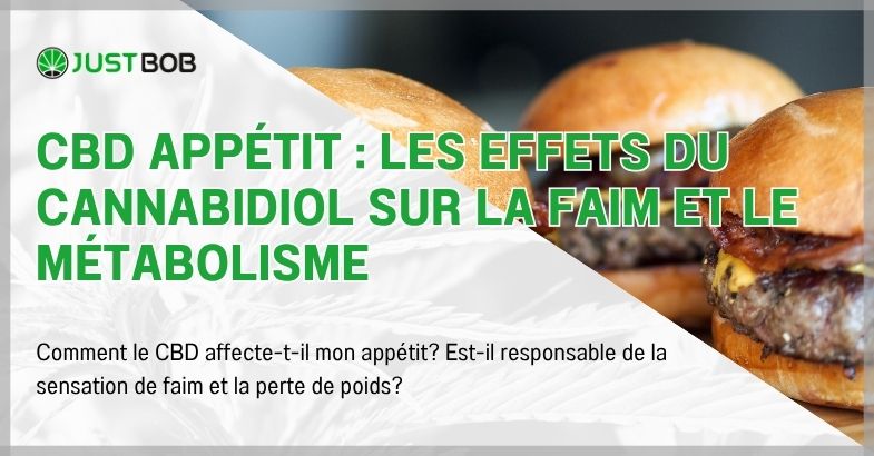CBD appétit : les effets du cannabidiol sur la faim et le métabolisme