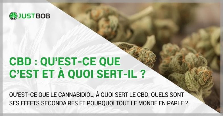 CBD : qu’est-ce que c’est et à quoi sert-il ?