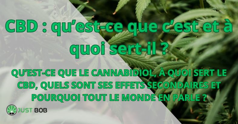 CBD : qu’est-ce que c’est et à quoi sert-il ?