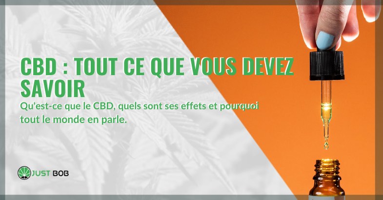 qu'est ce que la CDB2
