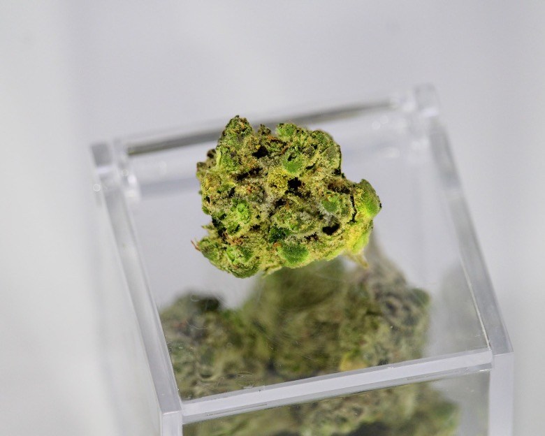 thc et cbd responsables des effets du cannabis
